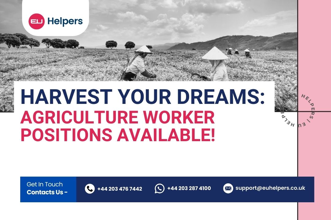 harvest-your-dreams-agriculture-worker-positions-available