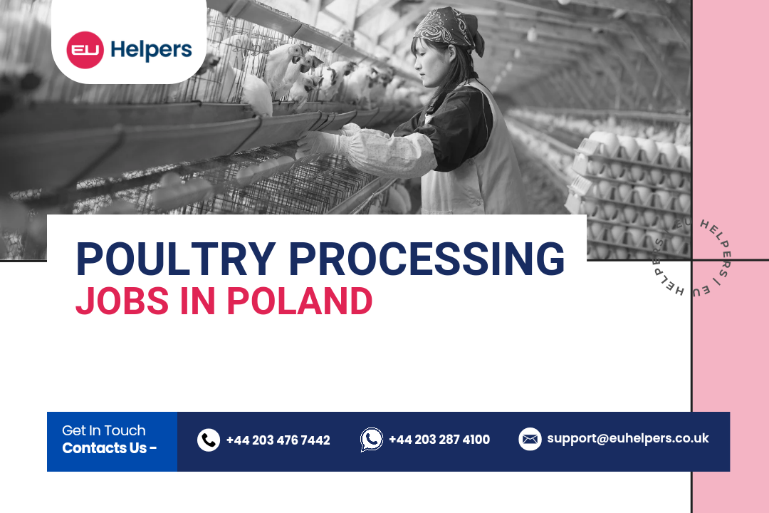 poultry-processing-jobs-in-poland