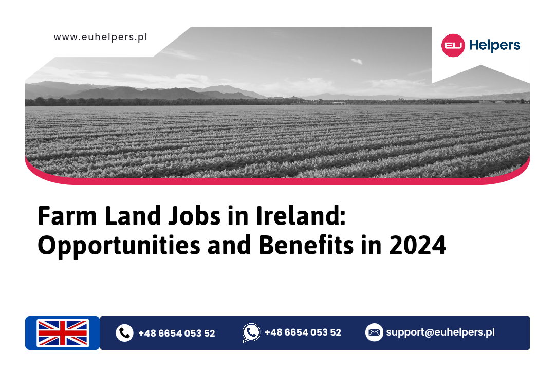 farm-land-jobs-in-ireland-opportunities-and-benefits-in-2024.jpg