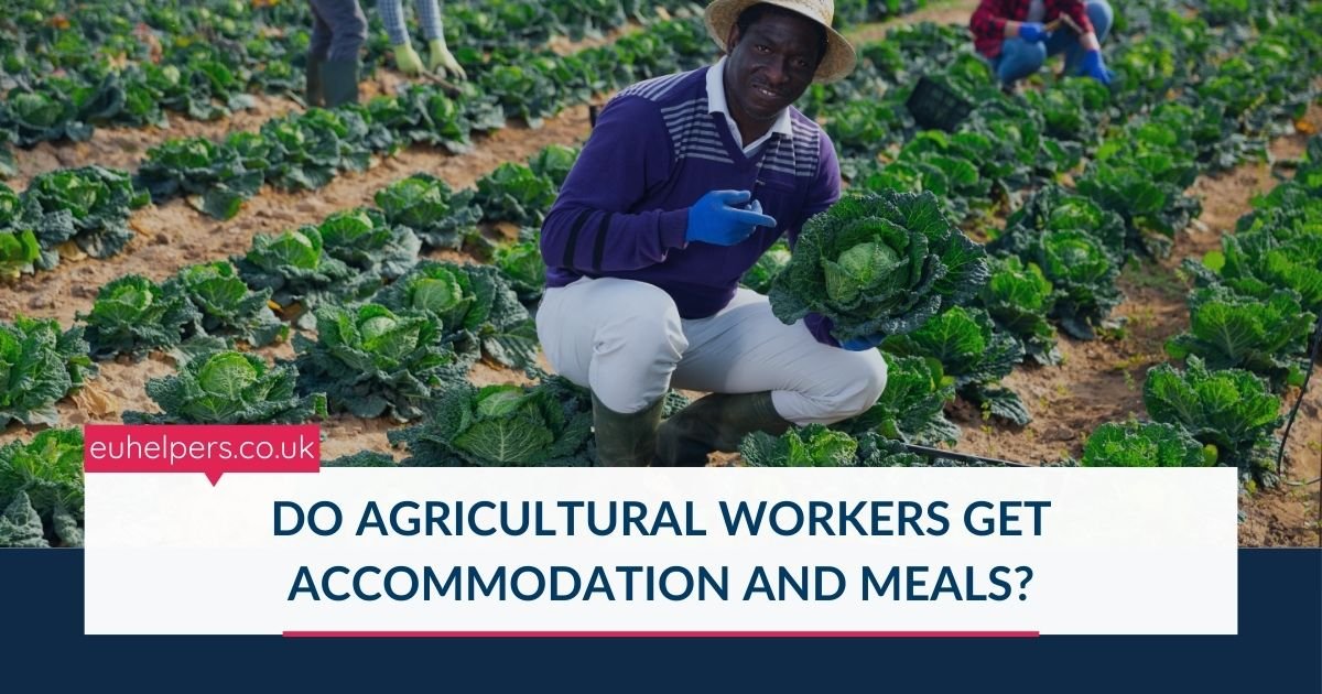 do-agricultural-workers-get-accommodation-and-meals.jpg