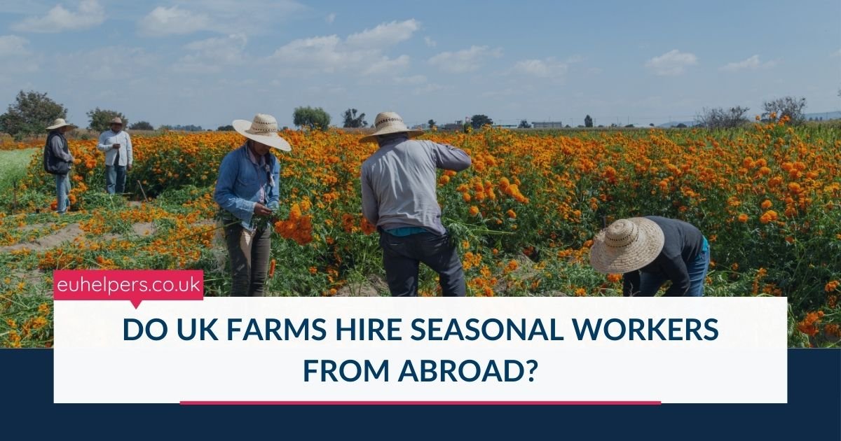 do-uk-farms-hire-seasonal-workers-from-abroad.jpg