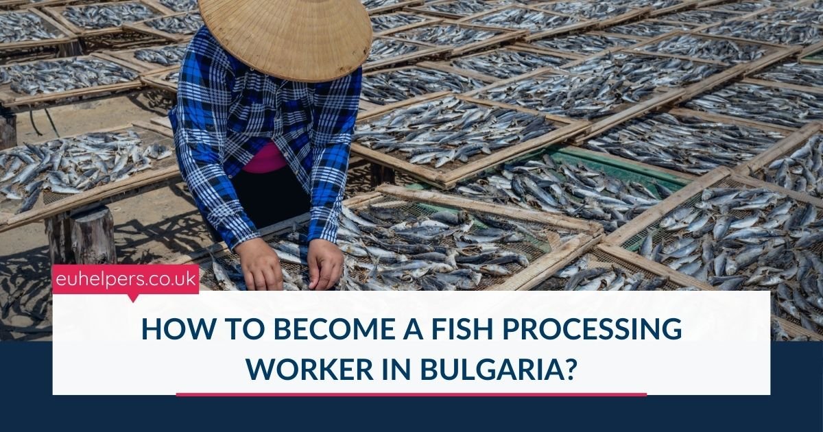 how-to-become-a-fish-processing-worker-in-bulgaria.jpg